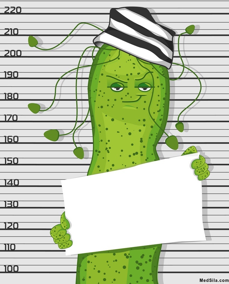 Схематическое изображение H.pylori